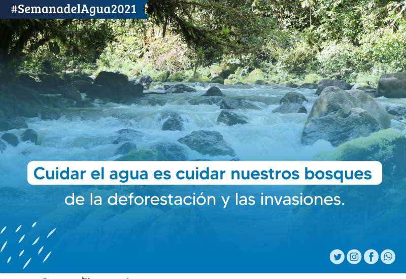 Dia del agua 2021