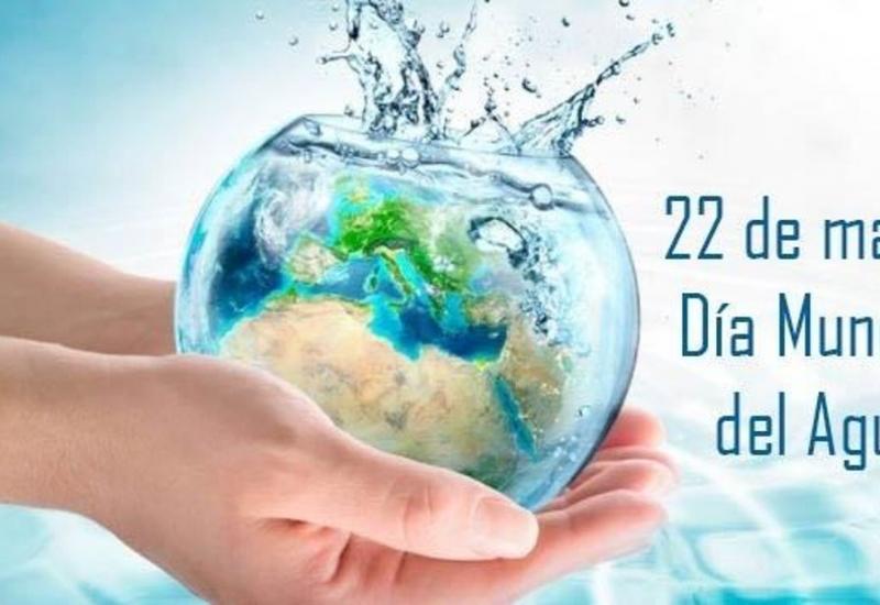 Dia del agua