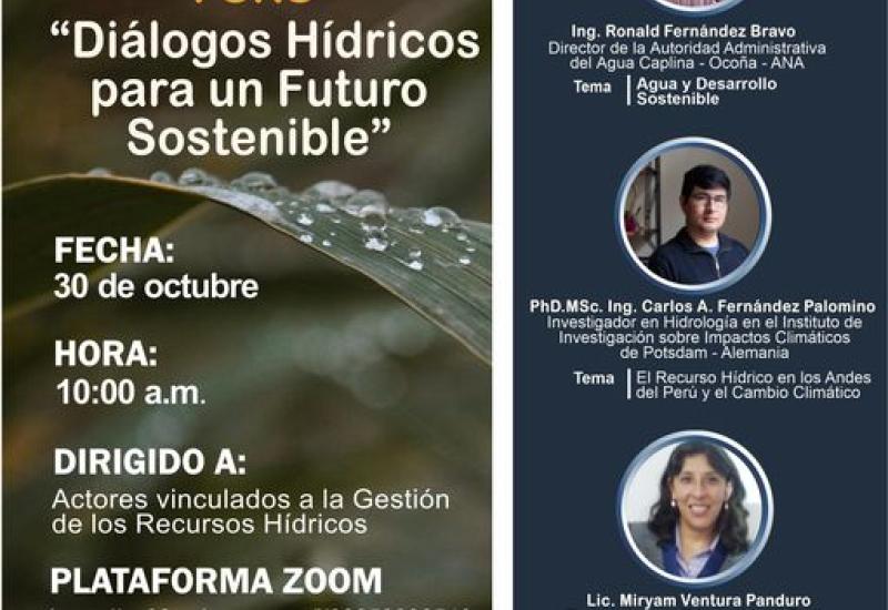 Reuniones virtuales