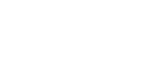 logo_ana.png